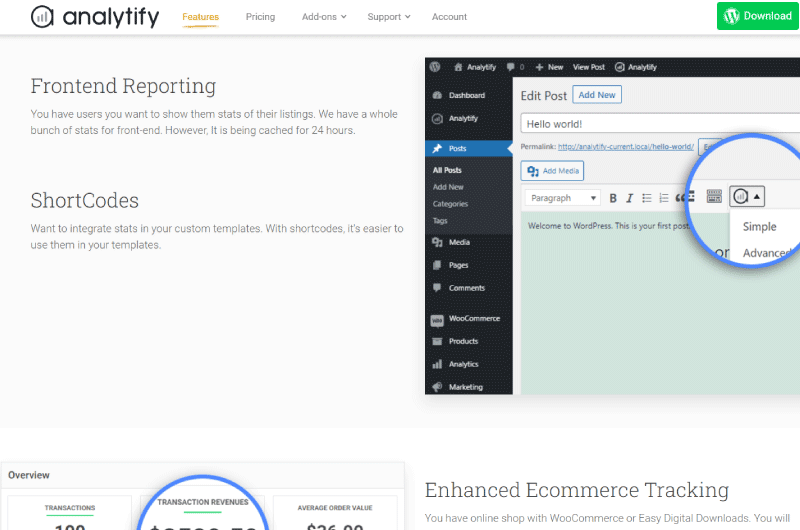 Google Analytics in Wordpress