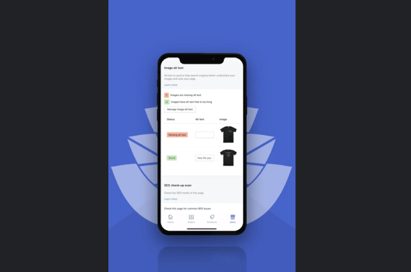 Tutto in uno SEO Shopify