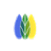 SEO Manager venntov favicon