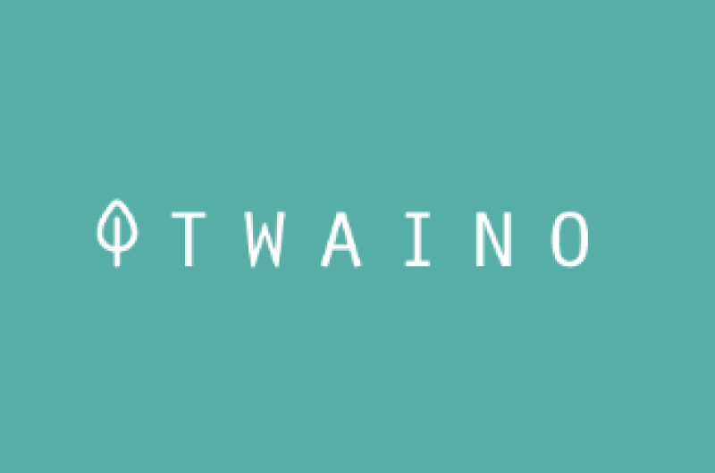 Blog | Twaino