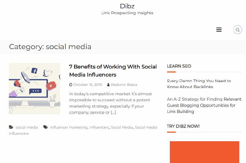 Blog | DIBZ