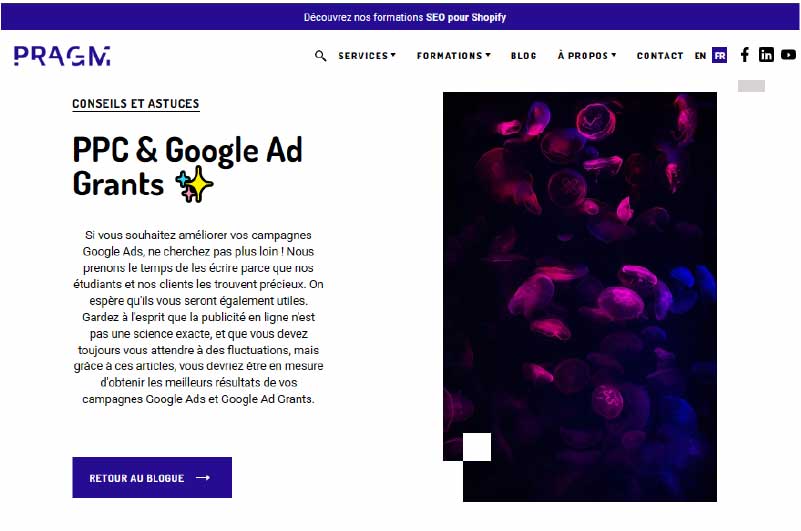 Blog | Pragm