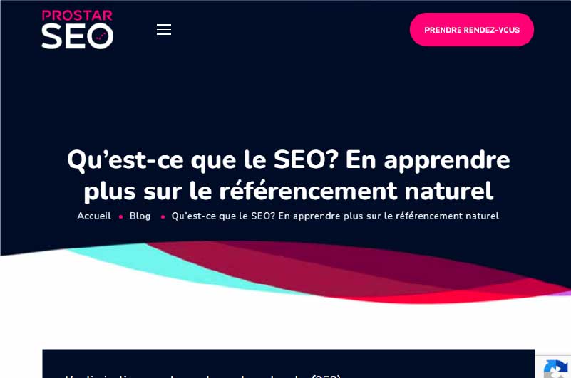 Blog | Pro Star SEO