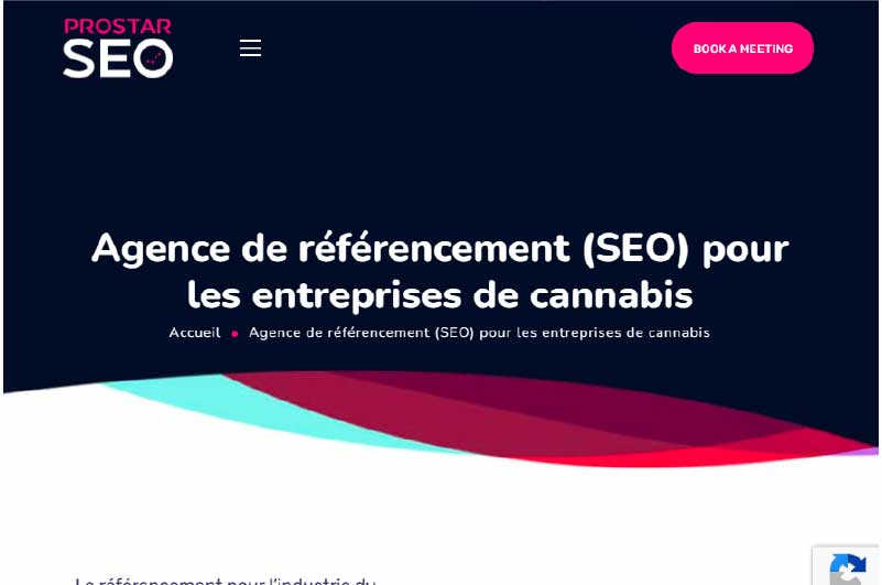 Blog | Pro Star SEO