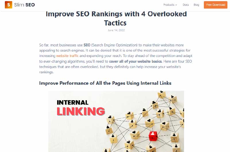 Blog | Slim SEO