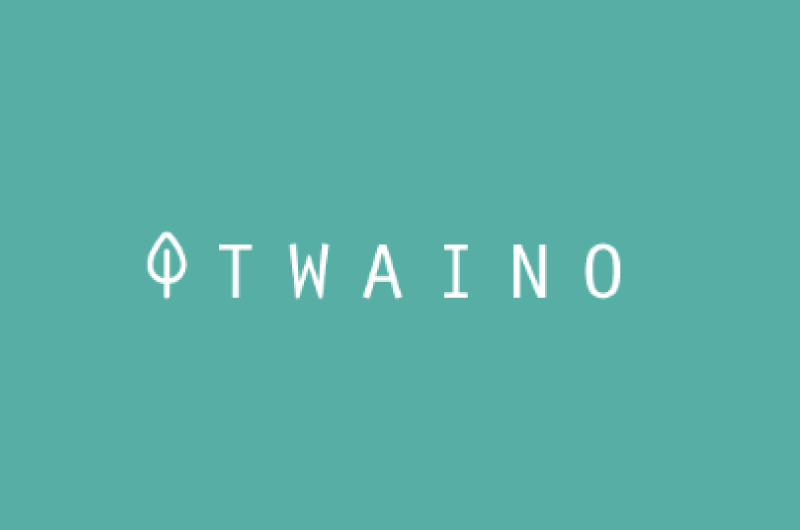 Blog Twaino