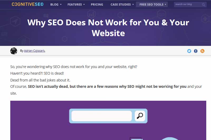 BLOG | Cognitive SEO