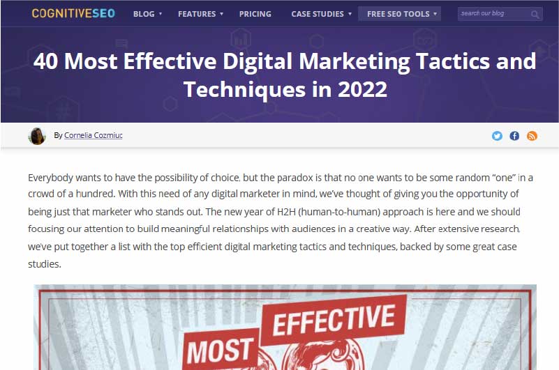 BLOG | Cognitive SEO