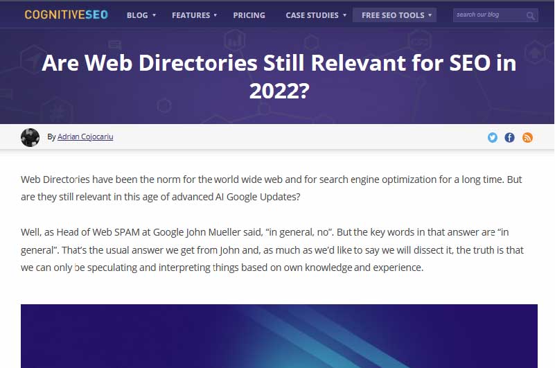 BLOG | Cognitive SEO