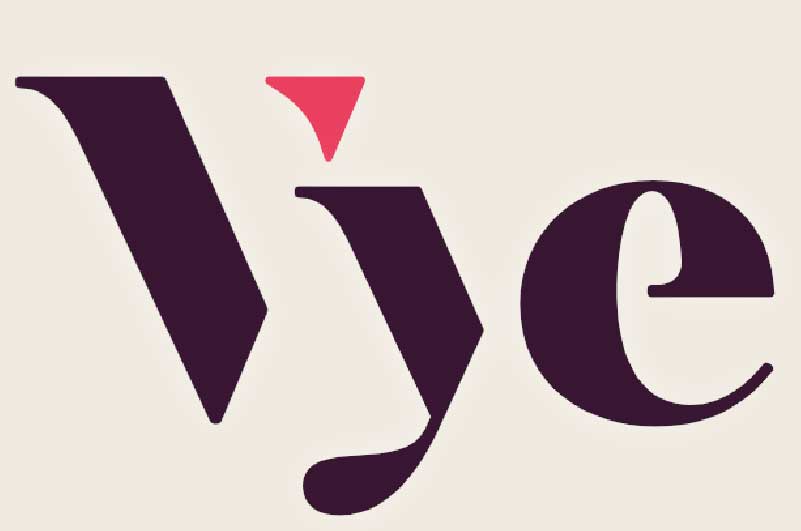 Vye Marketing Web
