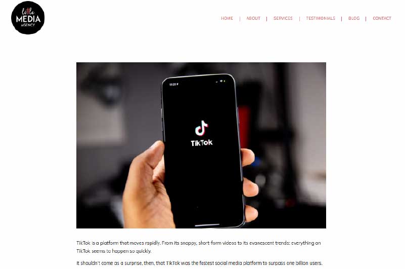 Blog | Little Media Agency