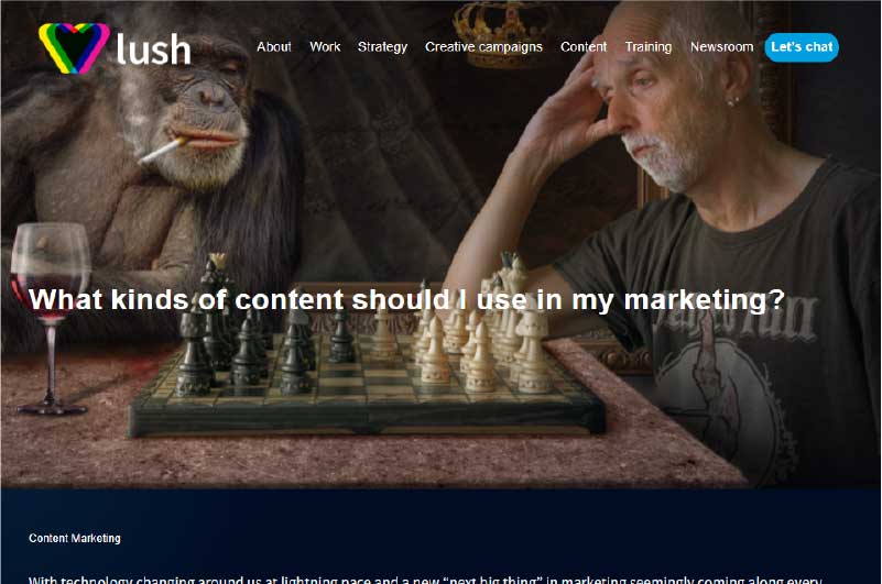 Blog | Lush Newsroom