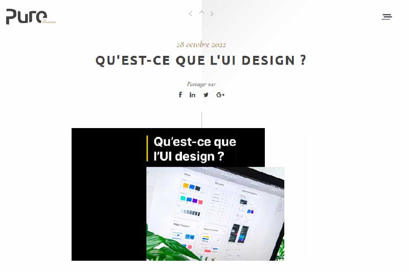 Blog | Pure Illusion
