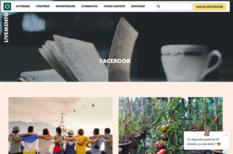 Blog | LiveMentor