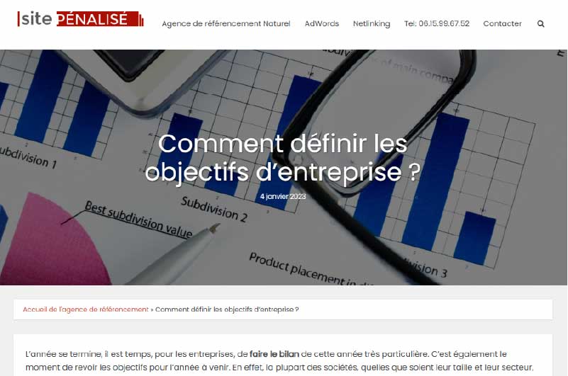 Blog | Site Pénalisé