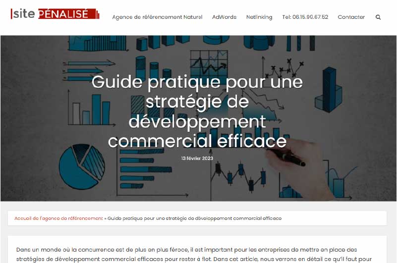 Blog | Site Pénalisé
