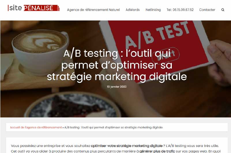 Blog | Site Pénalisé