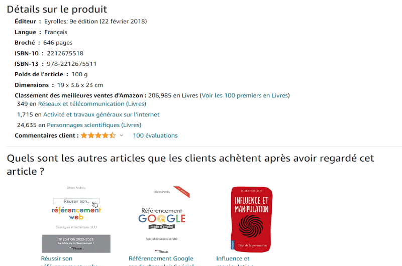 BOOKS | Réussir son référencement web – Edition 2018-2019 : SEO strategies and techniques