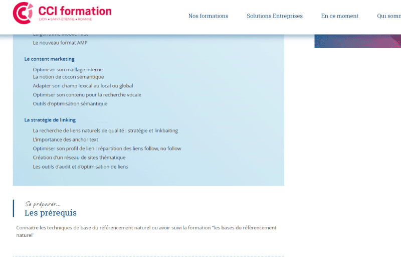 TRAINING | Advanced Search Engine Optimization (SEO)