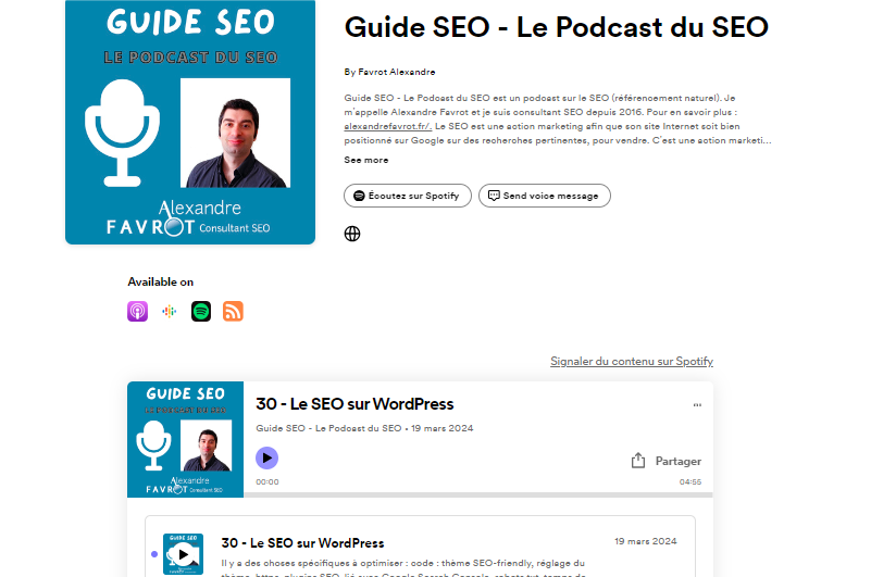 podcast | Guida SEO