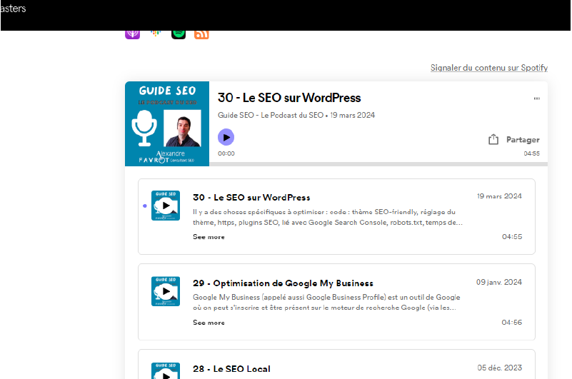 podcast | Guida SEO